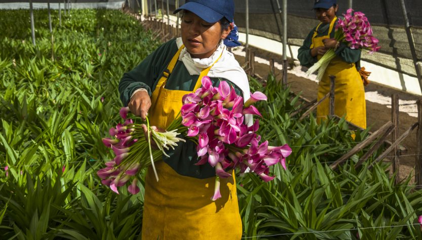 Reinvención: la apuesta del sector privado para afrontar un san Valentín en pandemia