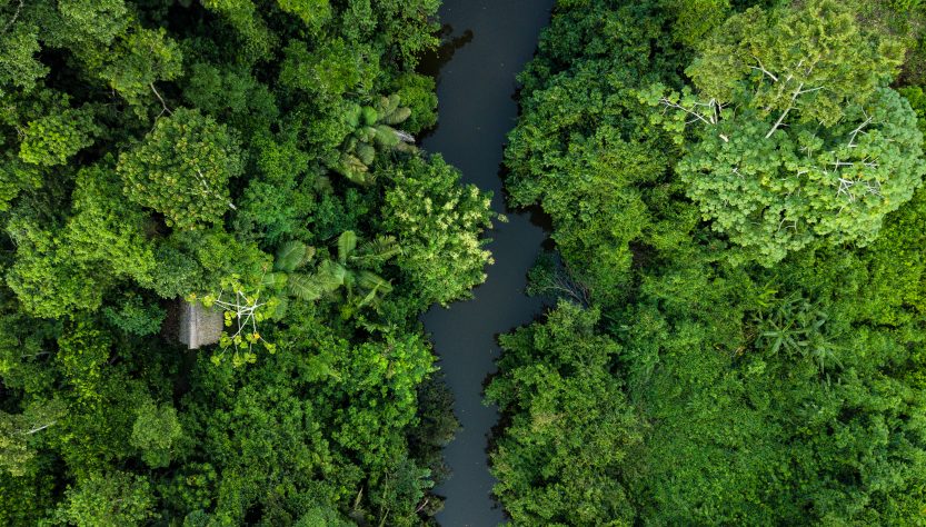 Francke: «Perú tiene potencial para captar financiamiento a través de bonos de carbono»
