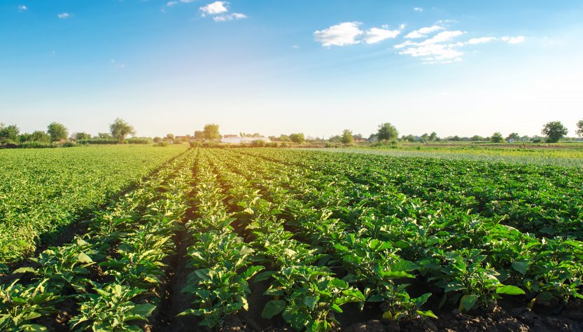 Agroalimentos en América Latina