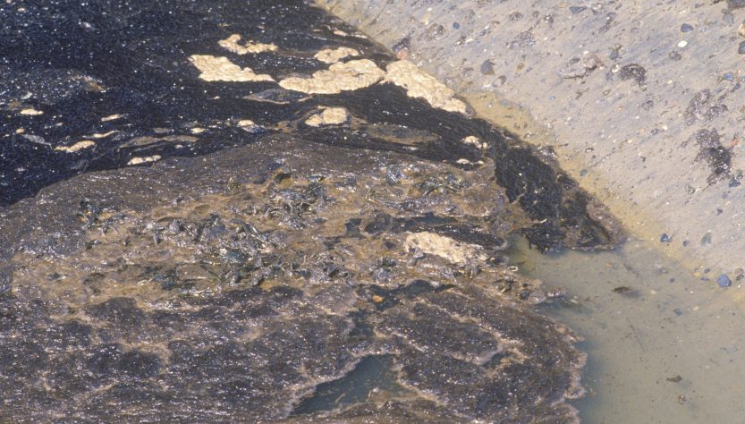 Un derrame de más de 3.000 barriles de petróleo afecta la costa de California