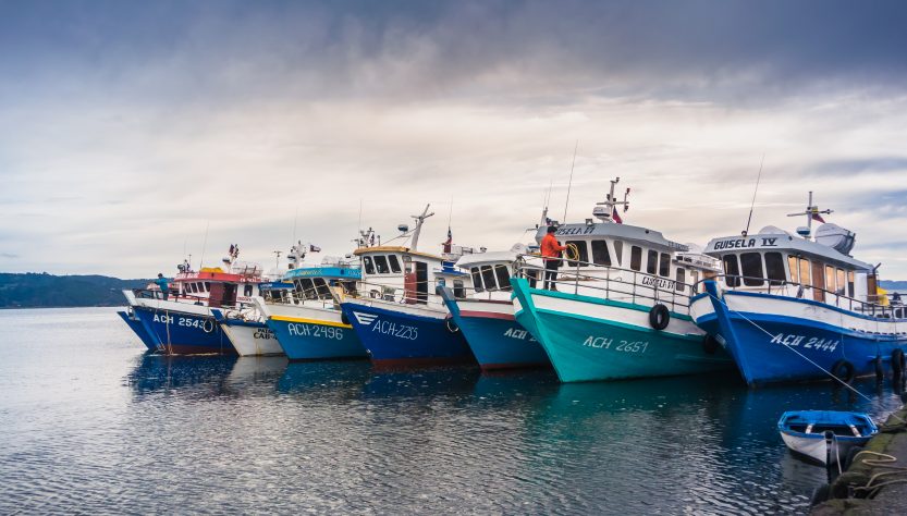 Más de 60 organizaciones solicitan la creación de una ley que termine con las concesiones acuícolas en áreas protegidas