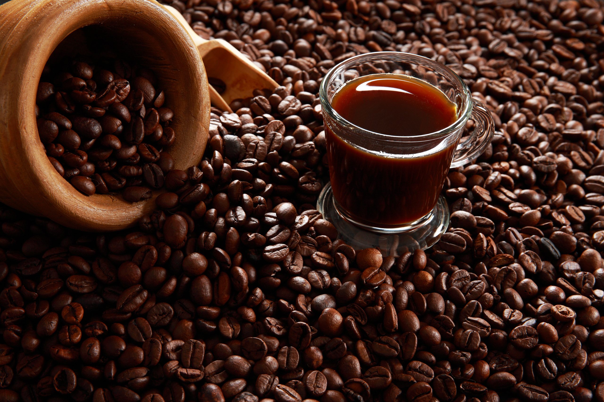 Los comercializadores colombianos de café prevén grandes pérdidas económicas