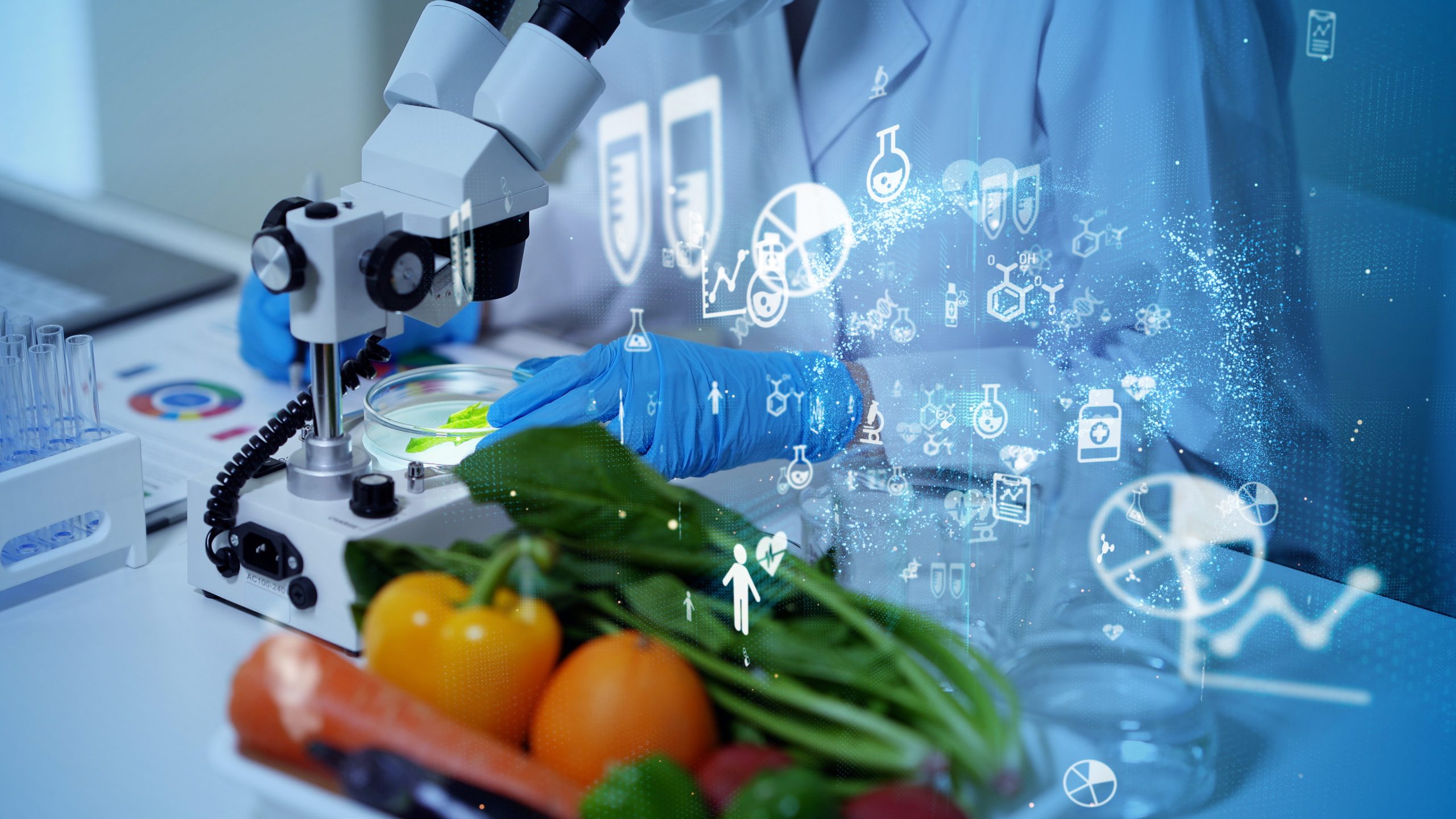 Foodtechs latinoamericanas levantan más de US$ 1.000 millones en el último año
