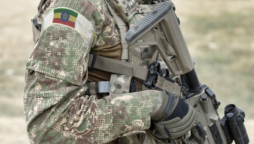 El gobierno etíope declaró el «estado de emergencia» en todo el país por el avance rebelde en Tigray