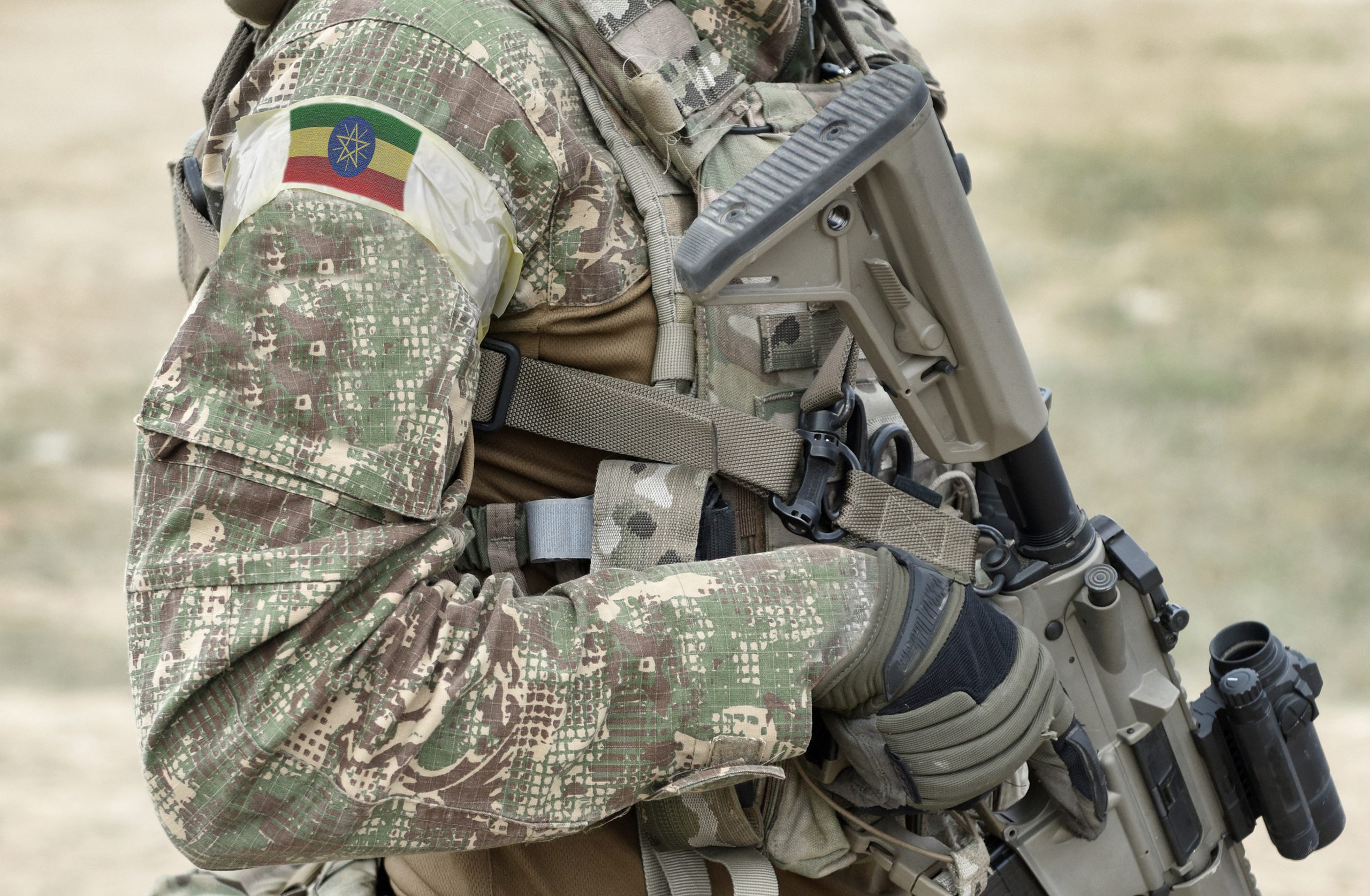 El gobierno etíope declaró el «estado de emergencia» en todo el país por el avance rebelde en Tigray