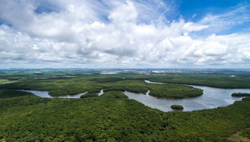 Deforestación de la Amazonia en Brasil, la peor en 15 años