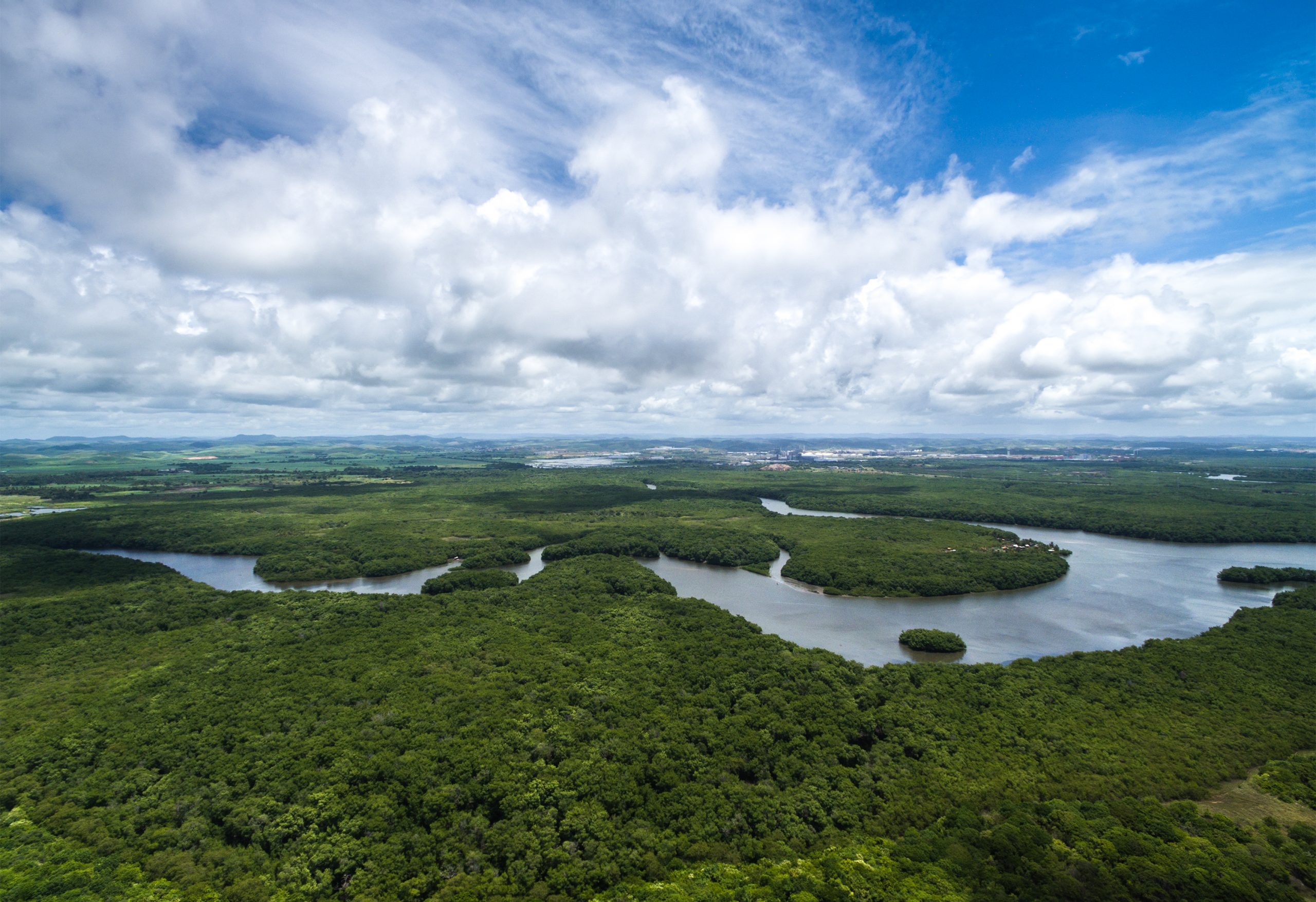 Deforestación de la Amazonia en Brasil, la peor en 15 años