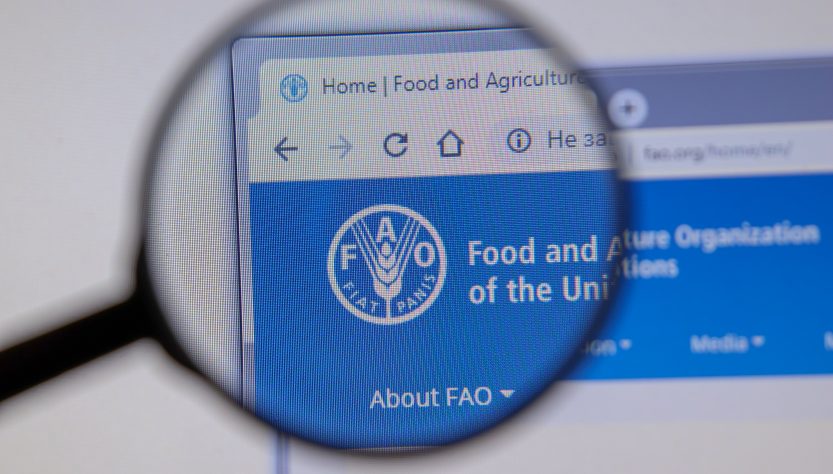 La ONU advirtió que el hambre en América Latina alcanzó su mayor nivel en 20 años