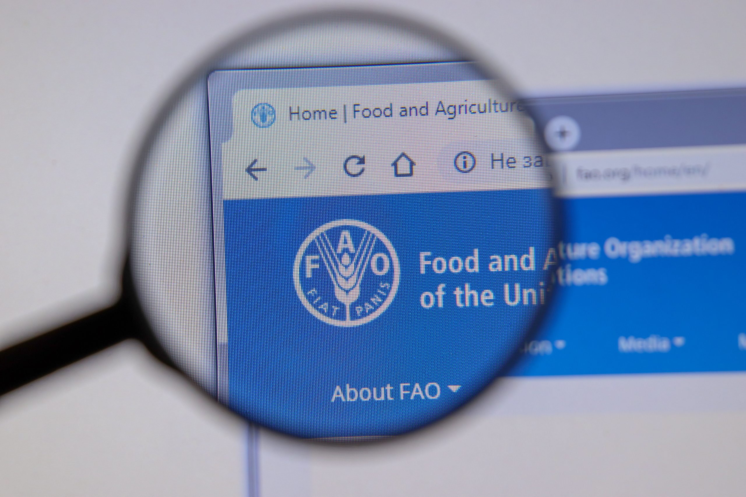 La ONU advirtió que el hambre en América Latina alcanzó su mayor nivel en 20 años