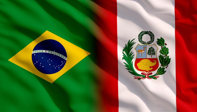 Bolsonaro y Castillo dejaron atrás las diferencias ideológicas