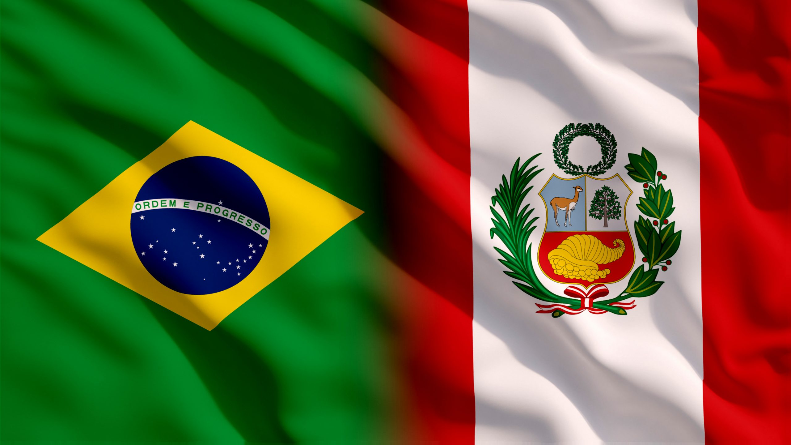 Bolsonaro y Castillo dejaron atrás las diferencias ideológicas