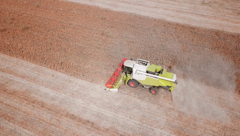 La sequía dejó a Paraguay sin soja