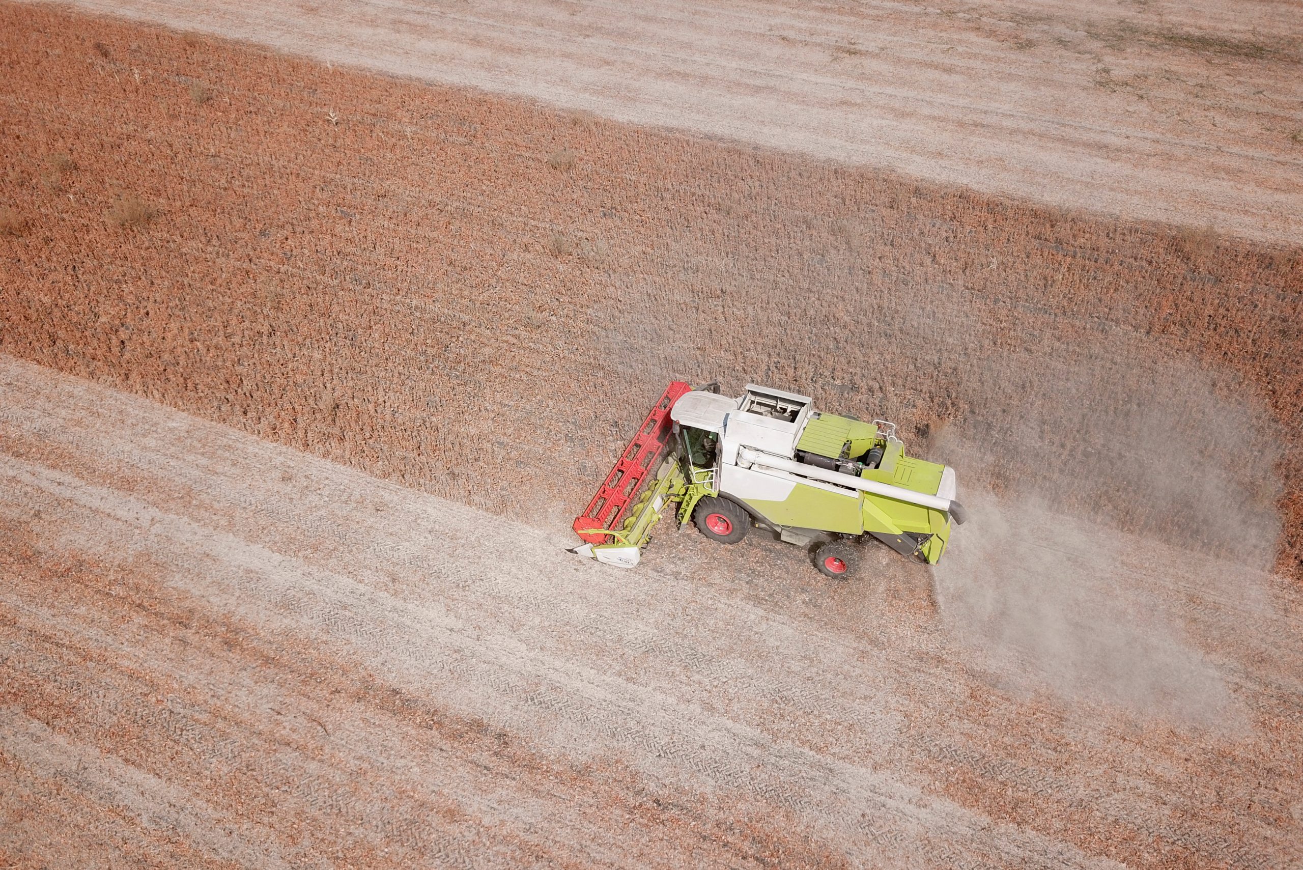 La sequía dejó a Paraguay sin soja