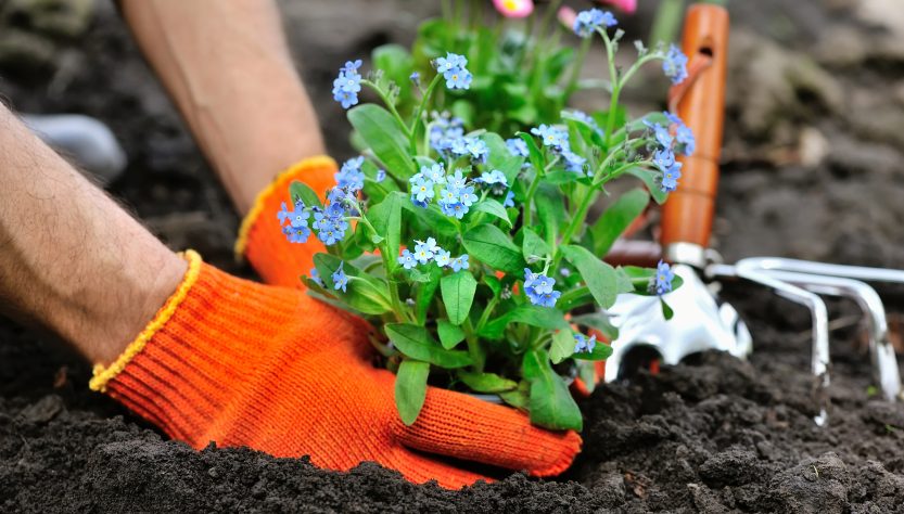 Un emprendedor en tierras de empresas florales con historia en la industria