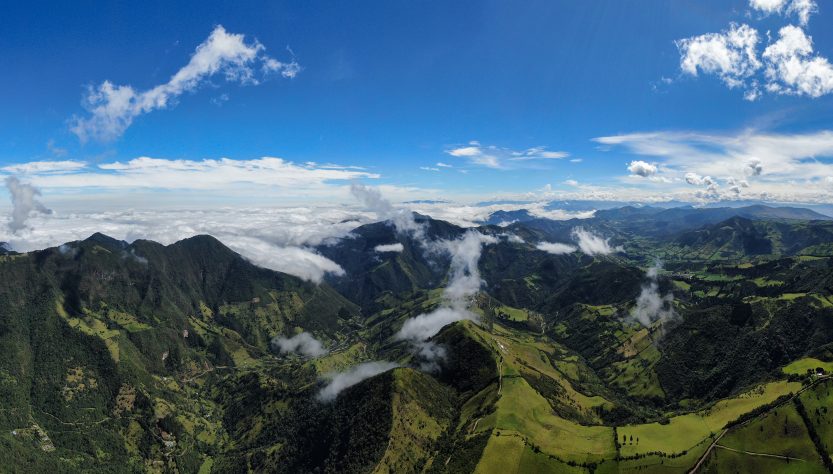 Sembrarán un millón de árboles en los Andes ecuatorianos
