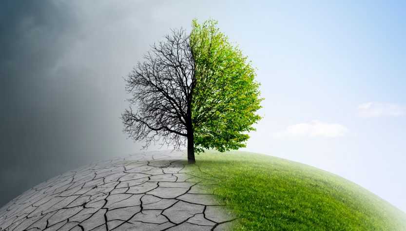 El cambio climático provocaría una migración de animales venenosos