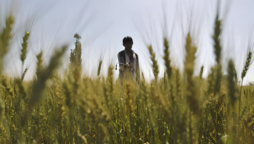 La crisis de fertilizantes rusos disparó la inflación en América Latina