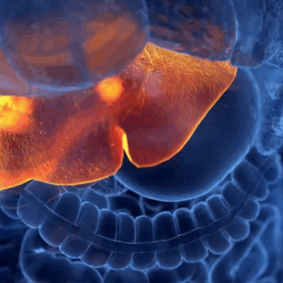 Argentina: se detectó el primer caso de hepatitis aguda grave