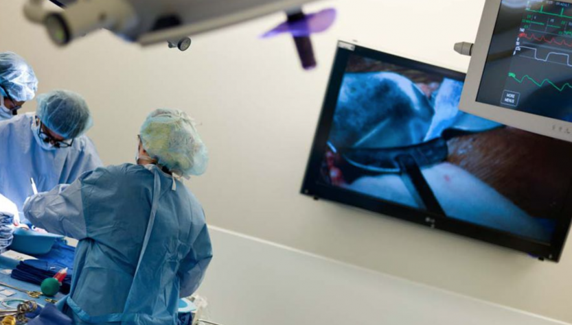 El 76% de los trabajadores chilenos quiere poder elegir