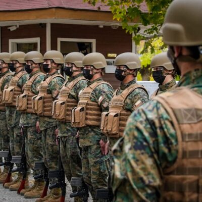 Nueva Constitución: los vacíos de las normas de Seguridad