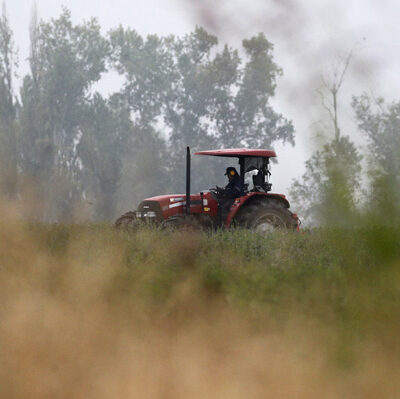 Recrudecimiento de la violencia en La Araucanía impacta en la seguridad alimentaria de Chile