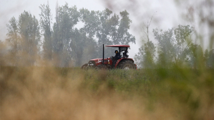 Recrudecimiento de la violencia en La Araucanía impacta en la seguridad alimentaria de Chile