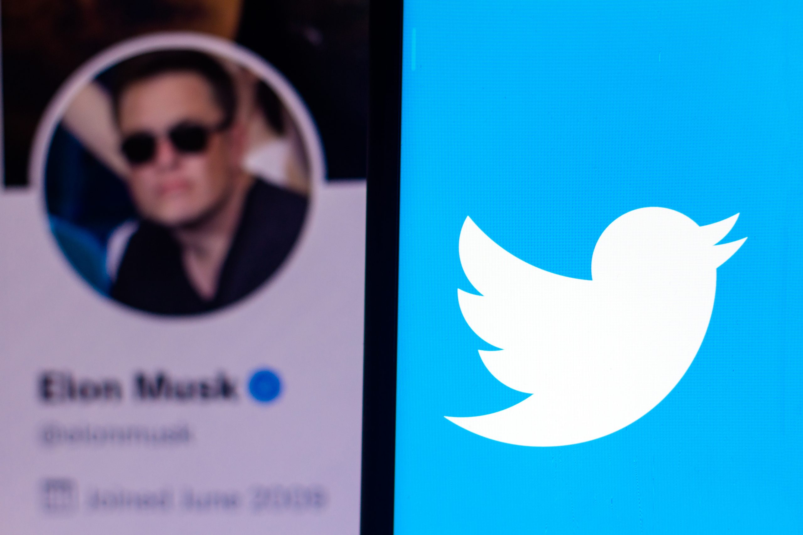 Twitter demandará a Elon Musk y él responde con un meme