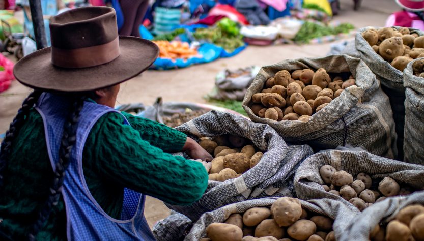Perú: precios de alimentos seguirán en aumento por falta de fertilizantes y mal clima