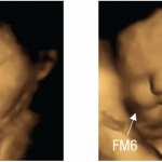 Los fetos sonríen al sabor de la zanahoria, pero no al sabor del kale