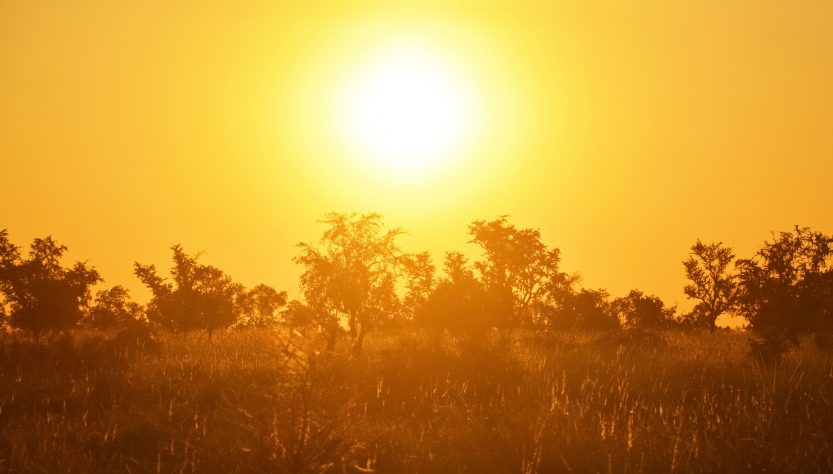 Europa: El verano más caluroso desde 1880