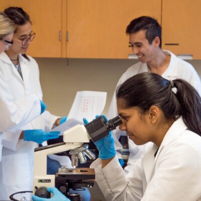 La encrucijada de la ciencia chilena después de rechazar la constitución