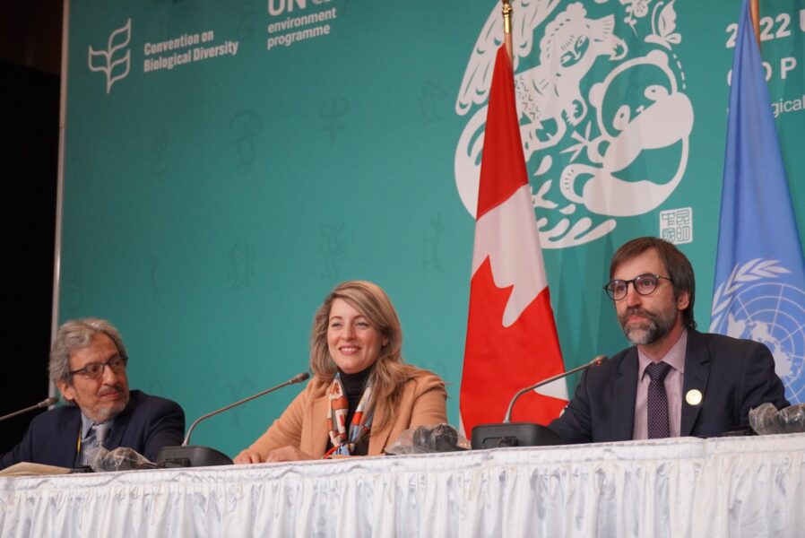 Cuestionamientos sobre sanciones a Haití impuestas por Canadá