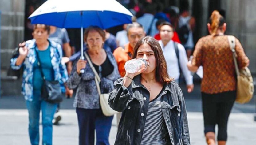 Ola de calor que azotó a Argentina y Chile puede considerarse peor que la de Europa, EE.UU. y China