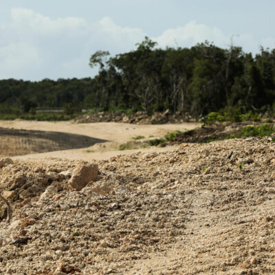 El Tren Maya ha derribado más de 10 millones de árboles en el sureste de México