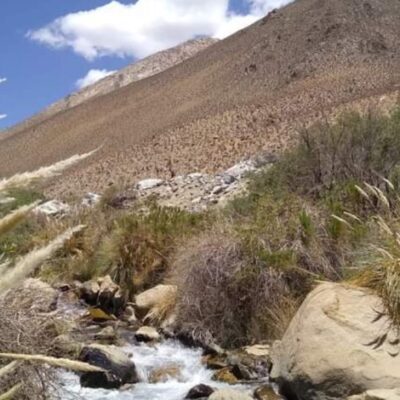 Funcionarios de Seremi aclaran dudas sobre el proyecto Campanario: «cumple con la normativa ambiental vigente»