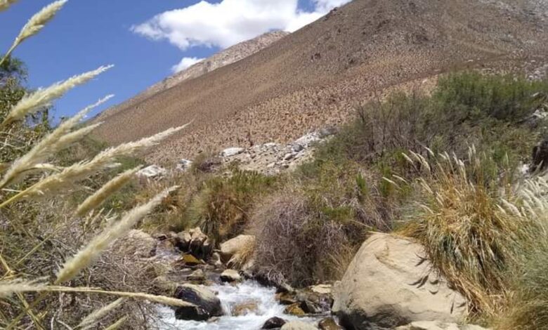 Funcionarios de Seremi aclaran dudas sobre el proyecto Campanario: «cumple con la normativa ambiental vigente»