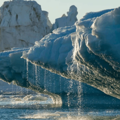 Deshielo en la Antártida podría alterar la circulación oceánica mundial