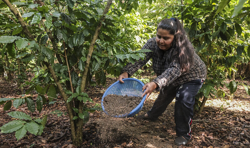 Gobierno salvadoreño oficializa alza salarial que beneficiará a miles de trabajadores desde junio