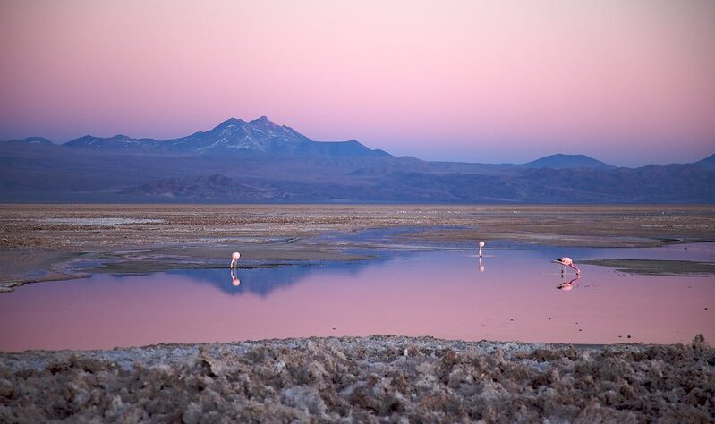 Chile: Codelco recibe luz verde para extraer litio en Atacama tras aprobación de la CCHEN