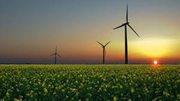 Mujeres Peruanas Lideran el Camino Hacia un Futuro Empresarial Circular