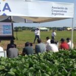 Limpiar las cooperativas: por qué avanzar en esto es clave para recuperar la transparencia