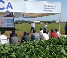 Limpiar las cooperativas: por qué avanzar en esto es clave para recuperar la transparencia