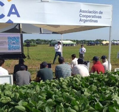 Limpiar las cooperativas: por qué avanzar en esto es clave para recuperar la transparencia