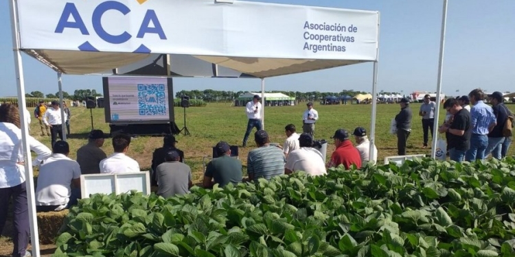 Limpiar las cooperativas: por qué avanzar en esto es clave para recuperar la transparencia