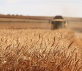 El Gobierno Argentino Oficializa la Baja de Retenciones a Granos y Subproductos Agrícolas