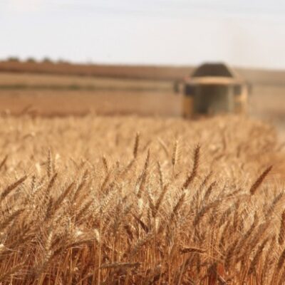 El Gobierno Argentino Oficializa la Baja de Retenciones a Granos y Subproductos Agrícolas