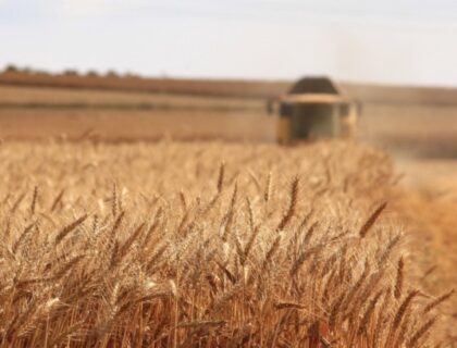 El Gobierno Argentino Oficializa la Baja de Retenciones a Granos y Subproductos Agrícolas